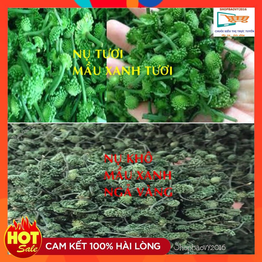 [Thượng Hạng] 200g Nụ hoa tam thất bao tử loại hoa nhỏ, đều nụ, hàng ĐẶC BIỆT chất lượng cao