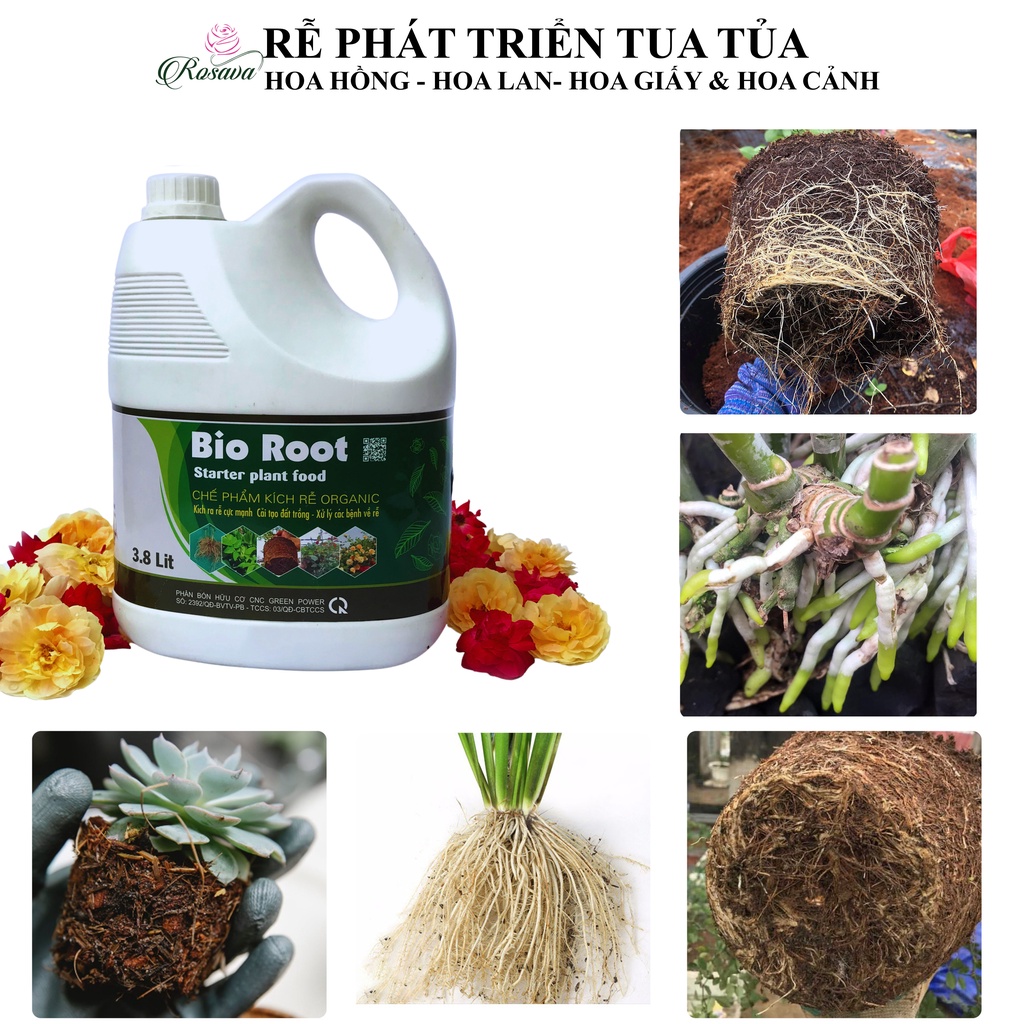 Phân bón hữu cơ vi sinh kích rễ, chống nấm Rosava can 4L rẻ cho hoa hồng, hoa lan, hoa giấy, sen đá và cây cảnh