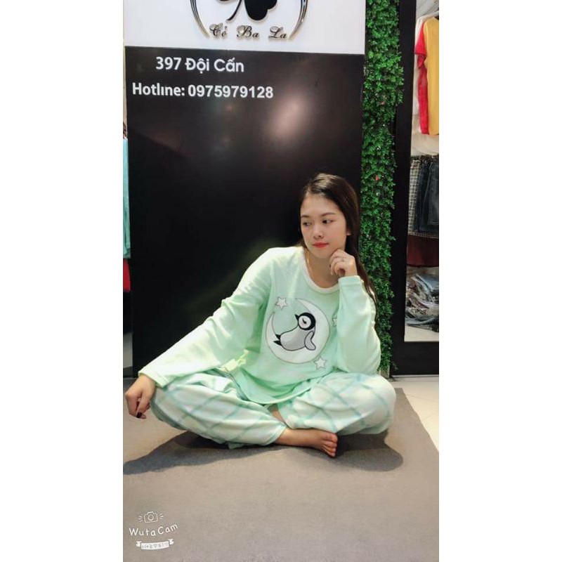 Bộ ngủ nỉ xuất khẩu