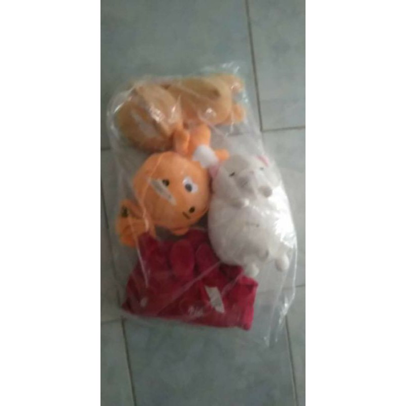 gau bong doan nguyễn