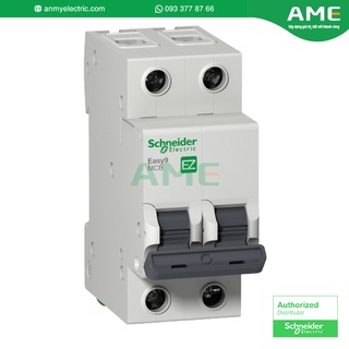 Cầu dao tự động mcb 2 pha 40a dòng cắt 4.5ka easy9 schneider_ez9f34240