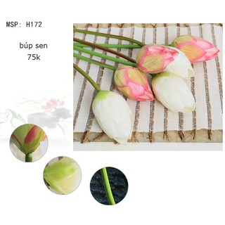 Hoa Sen Lụa Cao Cấp