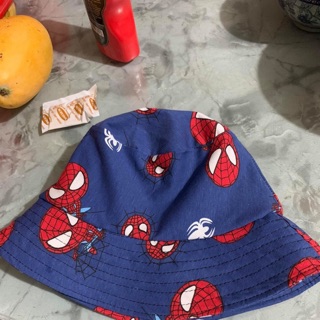 Set trần hồng lê