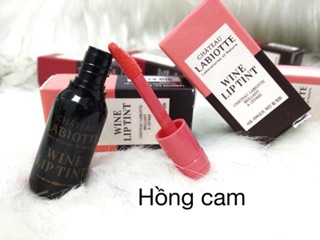 Son mini tint labiotte