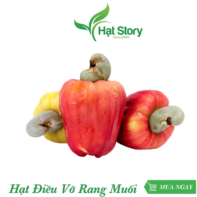 1Kg Hạt Điều Vỡ Còn Ít Vỏ Rang Muối, Thơm, Cam Kết Ngon