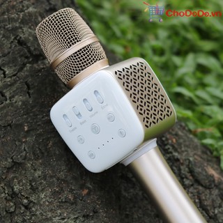 Micro karaoke Tosing V2R