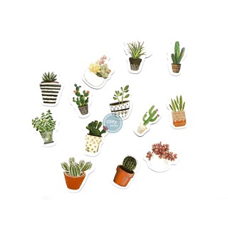 10 Stickers Vintage Cây Cỏ