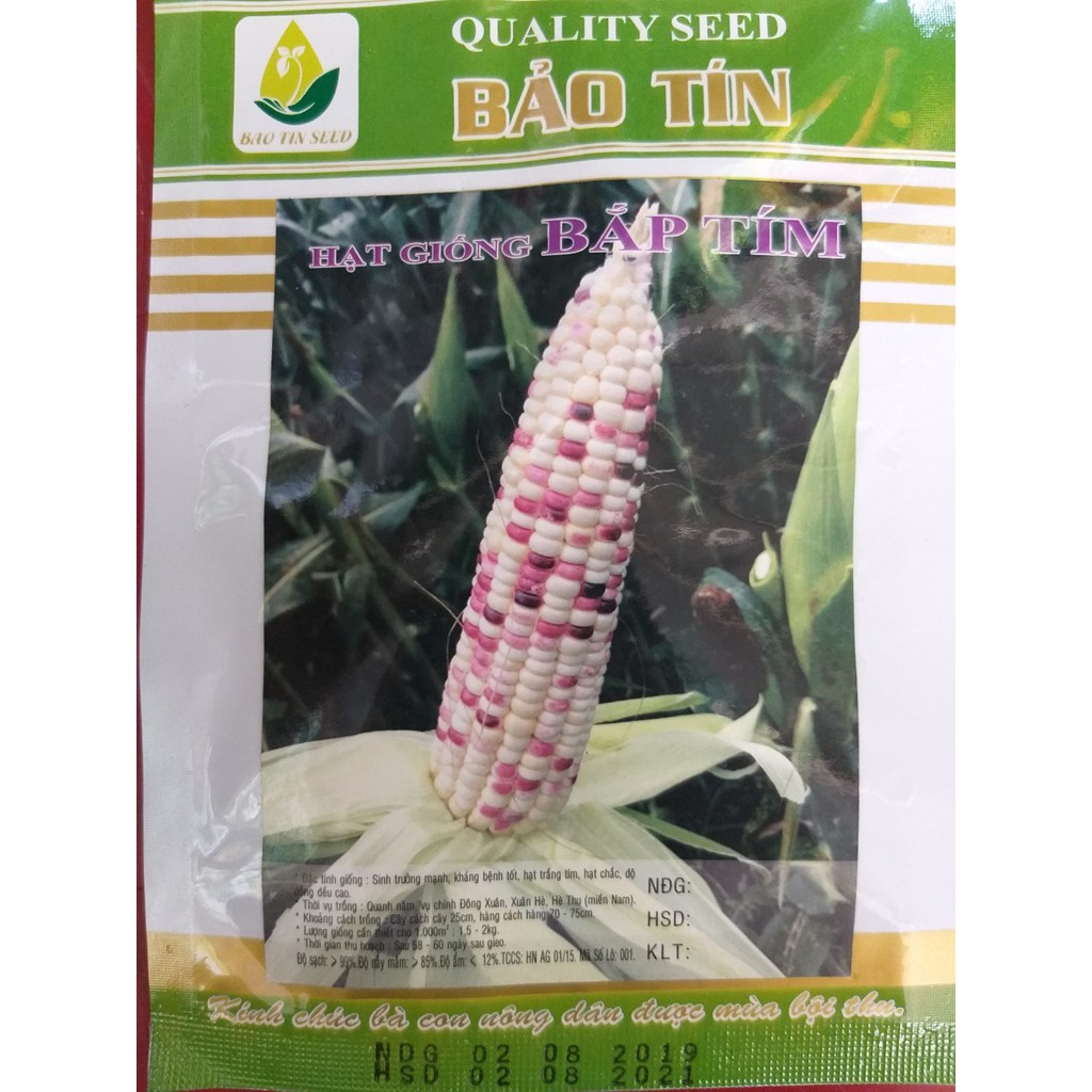 Hạt Giống Bắp Tím, Ngô Tím (20g)