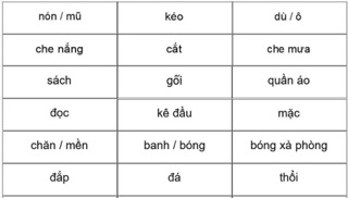 BỘ CHỨC NĂNG ĐỒ VẬT