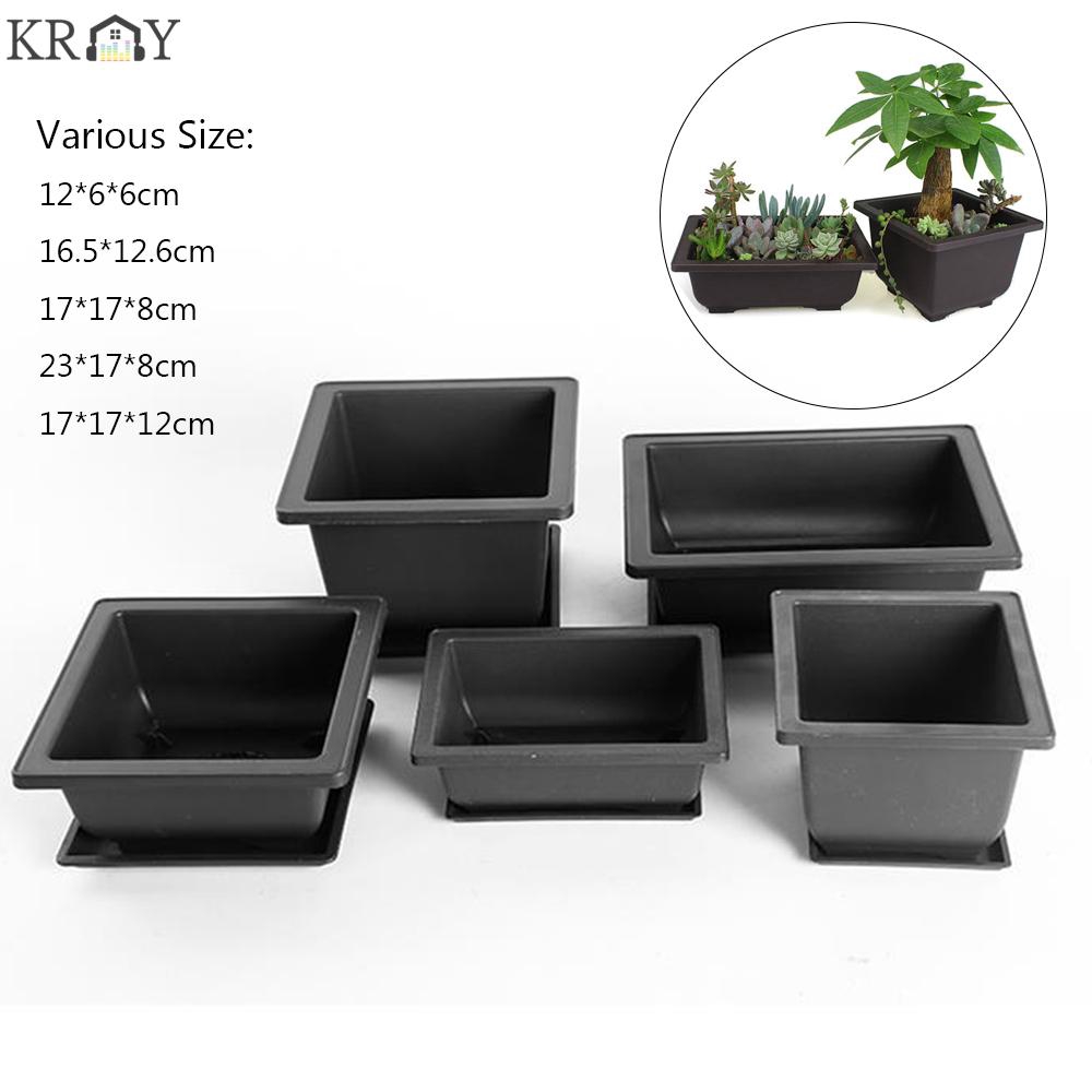 Chậu Trồng Cây Cảnh Hình Chữ Nhật Tiện Dụng