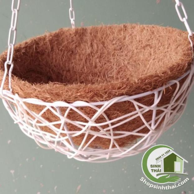 Chậu treo trồng cây xơ dừa khung sắt 25cm - giao kiểu ngẫu nhiên