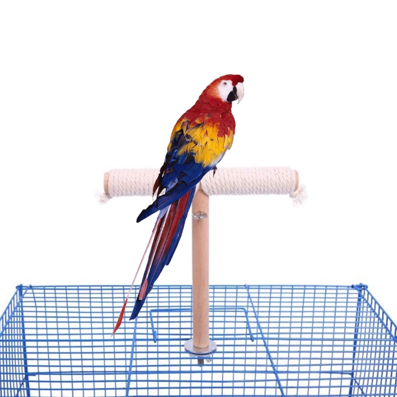 Giá Đỡ Đứng Bằng Gỗ Tự Nhiên Kèm Dây Cotton Dùng Làm Đồ Chơi Cho Chim/Vẹt