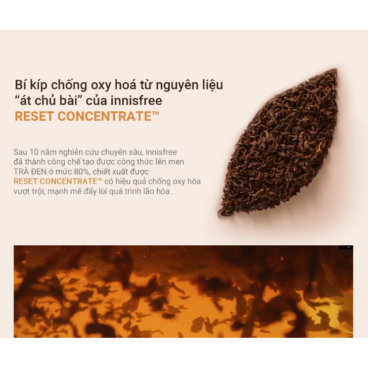 Tinh chất phục hồi da và chống lão hoá trà đen innisfree Black Tea Youth Enhancing Ampoule 30 mL | BigBuy360 - bigbuy360.vn