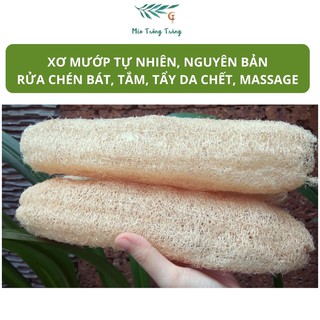 Xơ mướp tự nhiên không tẩy trắng, dùng tắm rửa bát massage body tẩy da chết quả lớn 15-35cm