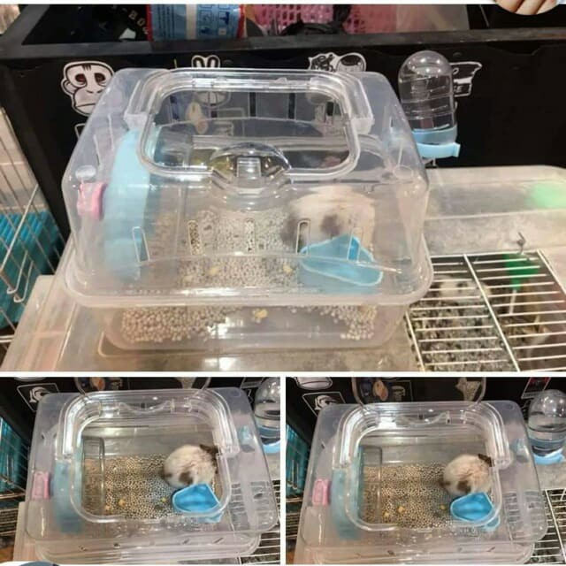 [TKN123] Lồng mini trong nuôi hamster