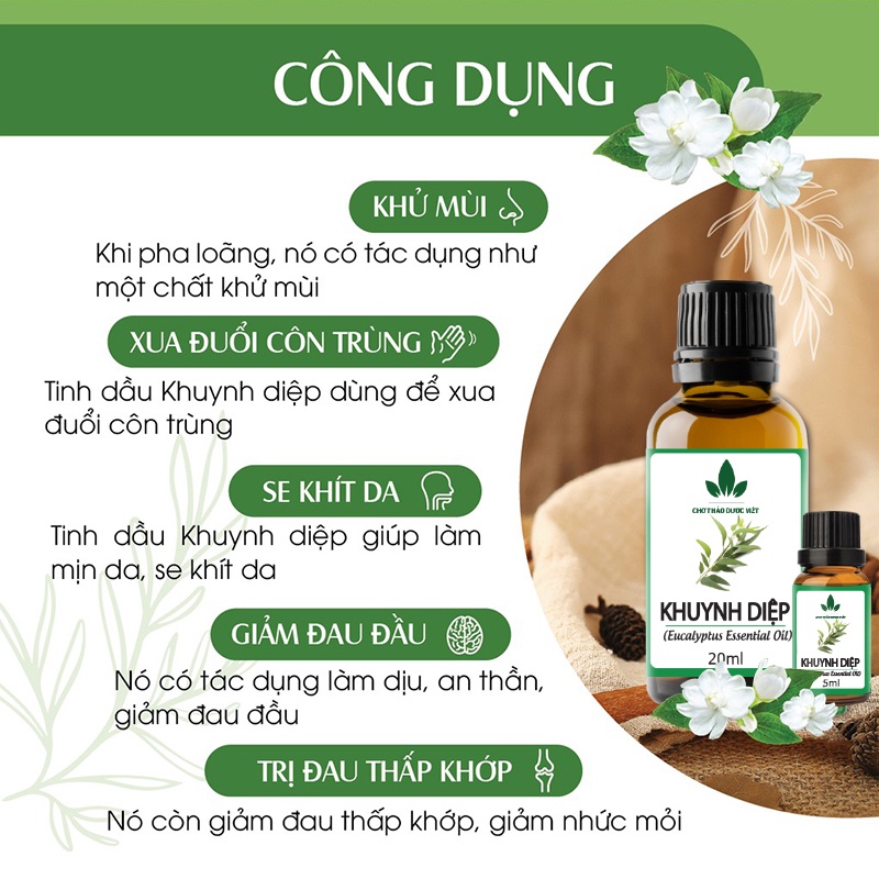 Tinh dầu Khuynh Diệp 20ml, giảm ho, cảm cúm, ngạt mũi, dị ứng, đuổi muỗi, côn trùng - Chợ Thảo Dược Việt