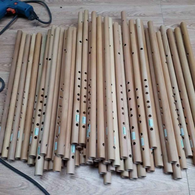 Sáo nứa nam sv