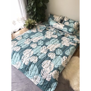 Bộ chăn ga gối 1m8x2m vải cotton poly[gồm 1 chăn hè 1 ga 2 vỏ gối nằm] mẫu lá khoai