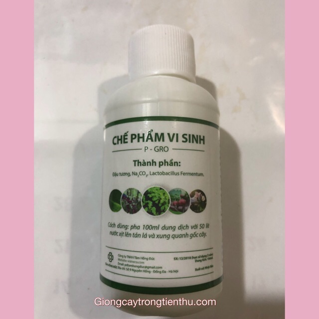 CHẾ PHẨM VI SINH P-GRO (ĐẬU TƯƠNG,Na2Co3,Lactobacillus Fermentum)