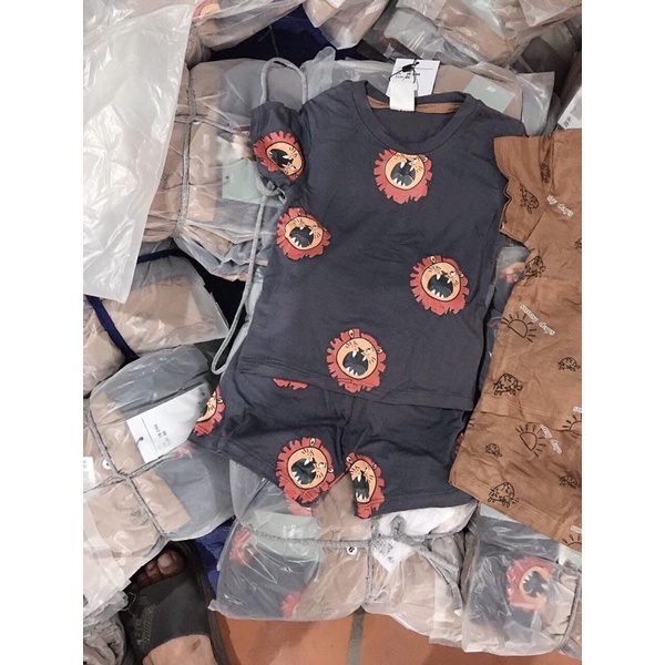 Set 2 bộ HM bé trai chất cotton 4c