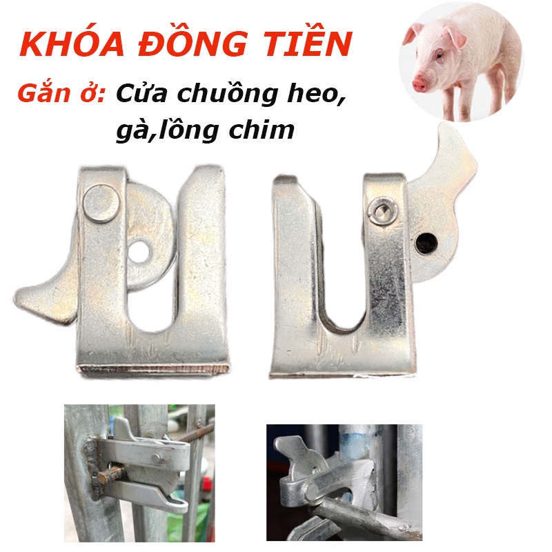 Khóa đồng tiền,Khóa quả đào,Chốt khoá cửa tự động gắn ở cửa chuồng heo, gà, lồng chim