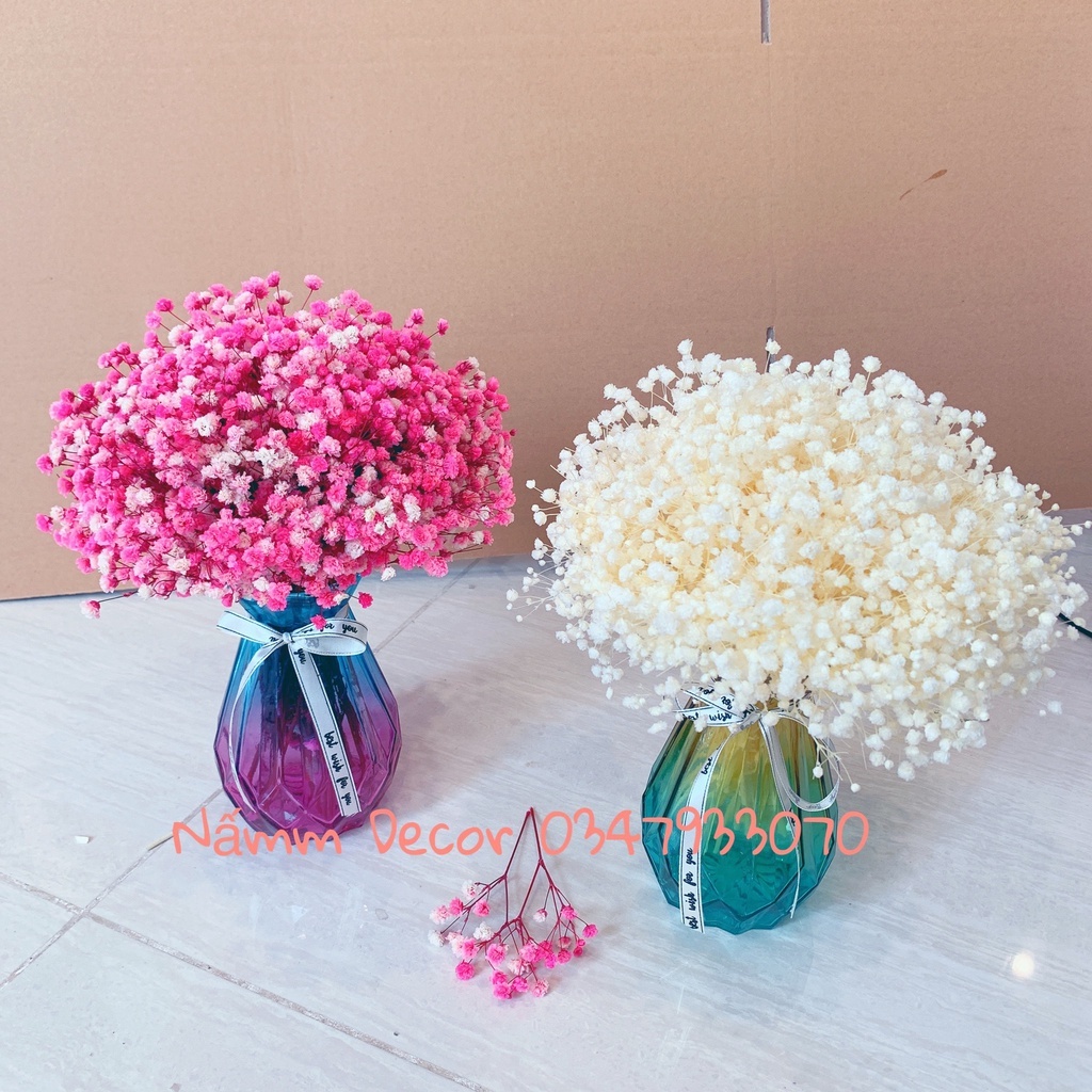 Set Lọ hoa baby khô trang trí nhà cửa, bàn làm việc, không gian sống, lọ thuỷ tinh kèm hoa baby khô đủ màu sắc phong pú
