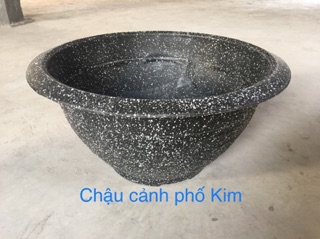 Chậu tròn T48 giá rẻ