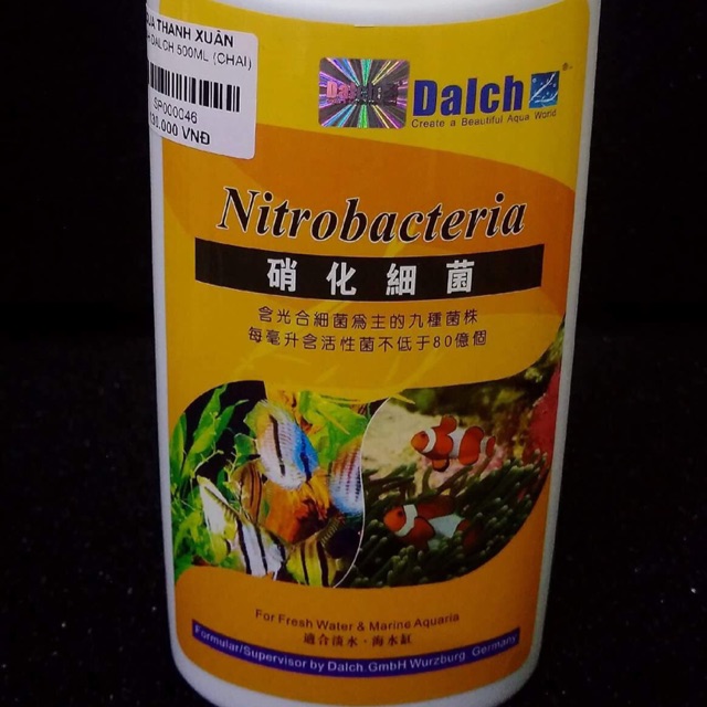 Men vi sinh dạng nước Dalch cho hồ cá cảnh