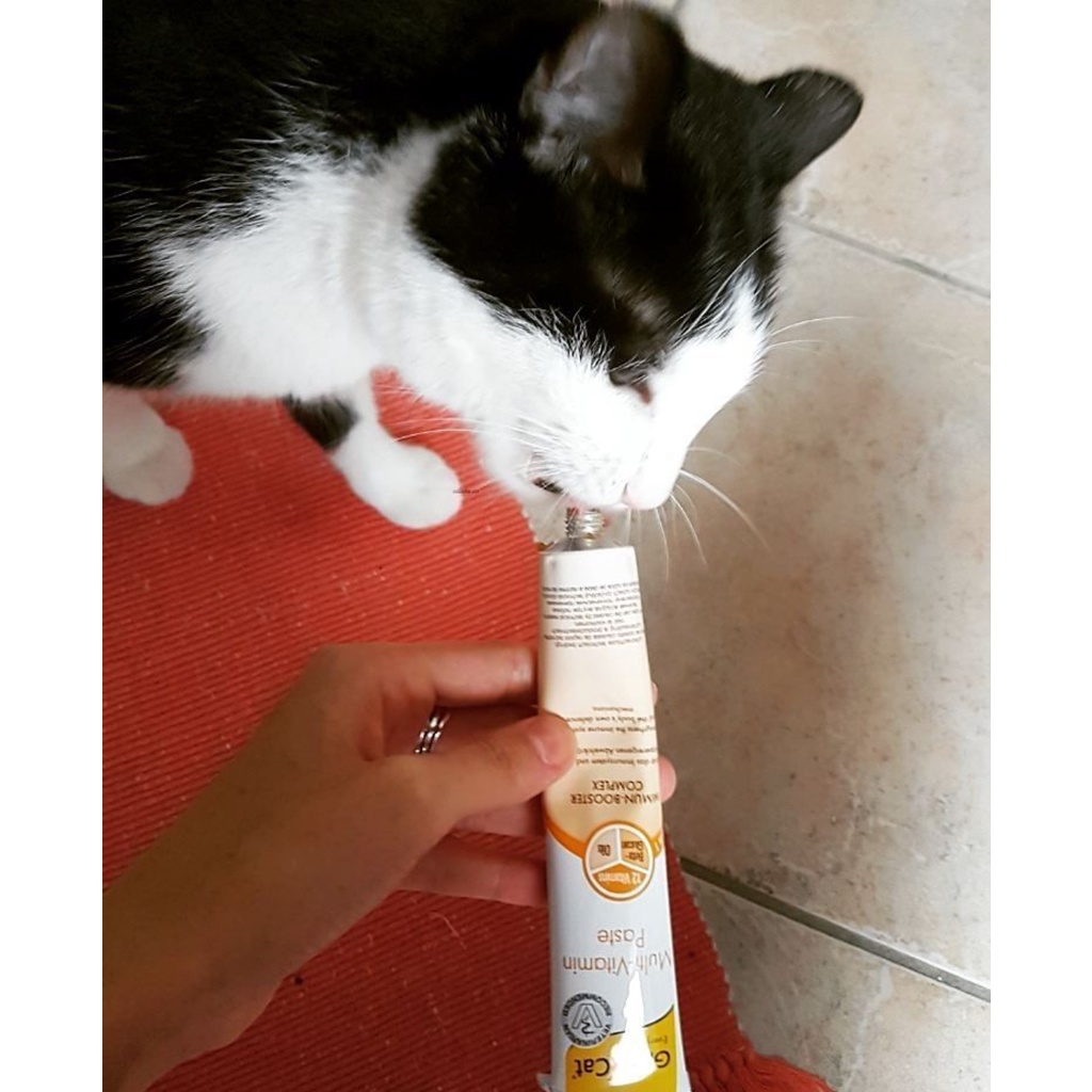 Gel dinh dưỡng cho mèo Gimcat Multi vitamin giúp tăng cường miễn dịch 50gr- xuất xứ Đức