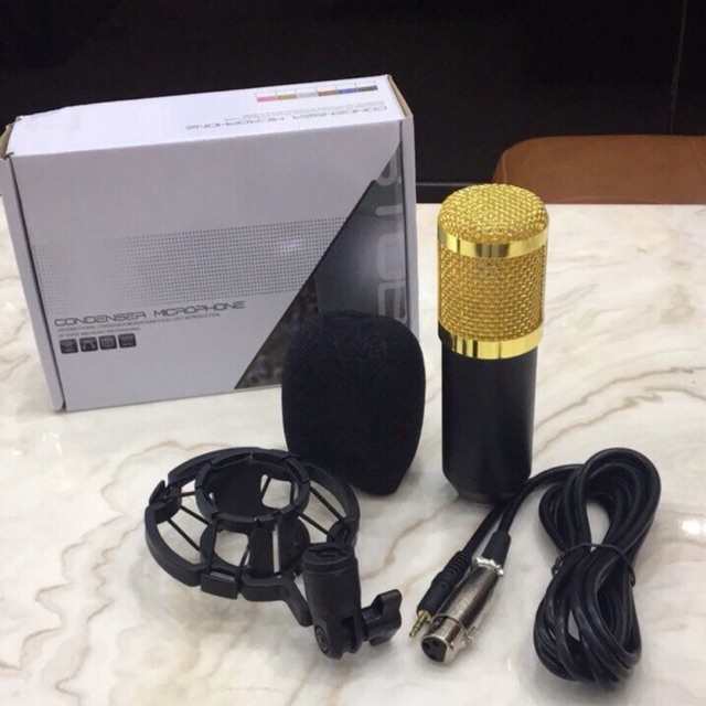 Mic thu âm Bm-800