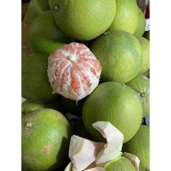 Bưởi da xanh bến tre