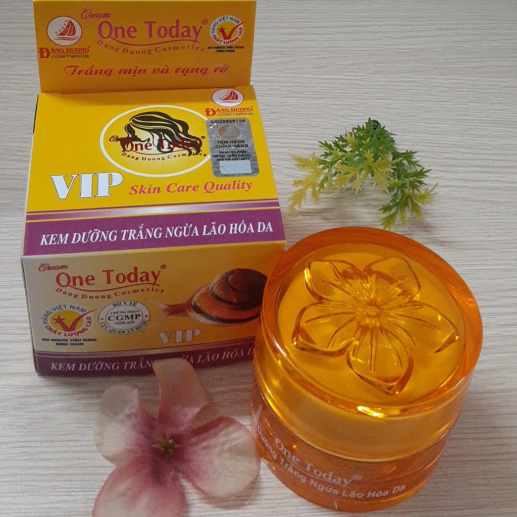 Onetoday VIP: Kem dưỡng trắng ngăn ngừa lão hoá One Today 20g