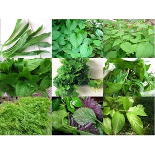 Rau thơm các loại