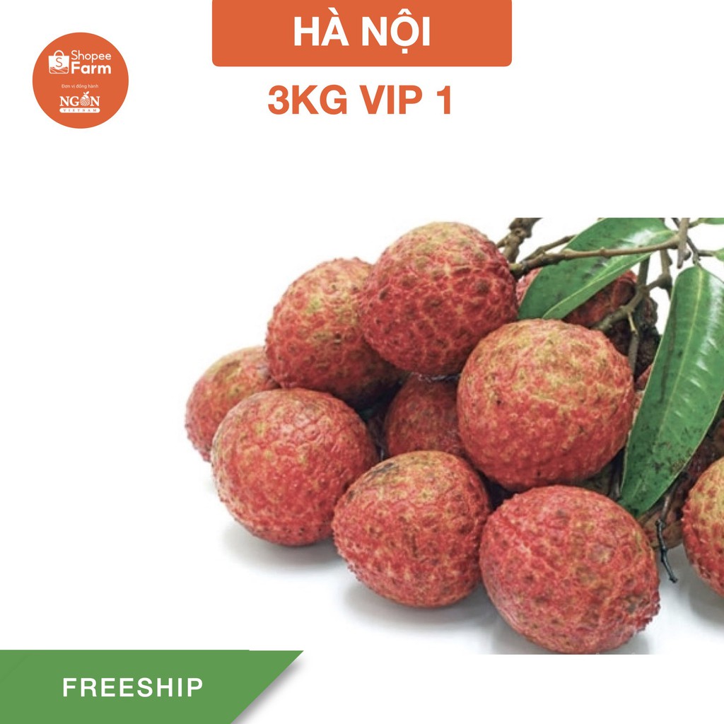 [HN] 3kg VIP 1 Vải thiều Thanh Hà chín cây vườn lâu năm