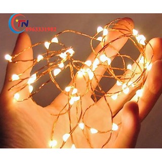 Dây đèn trang trí bóng LED Fairy Light