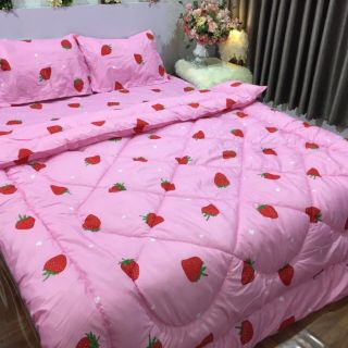 Set phao poly- được chọn mẫu