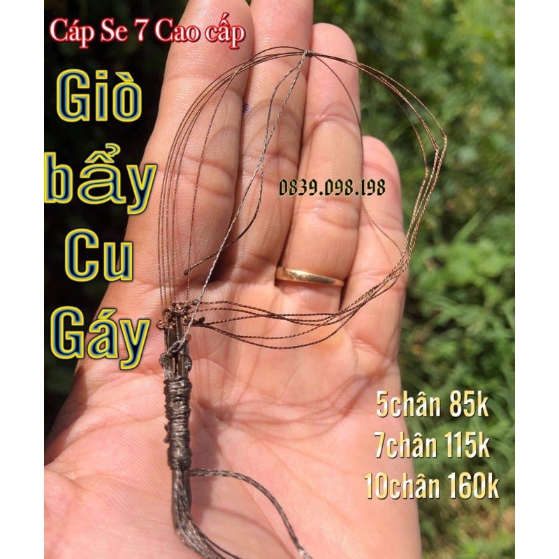 Bộ bẩy giò cu gáy Việt