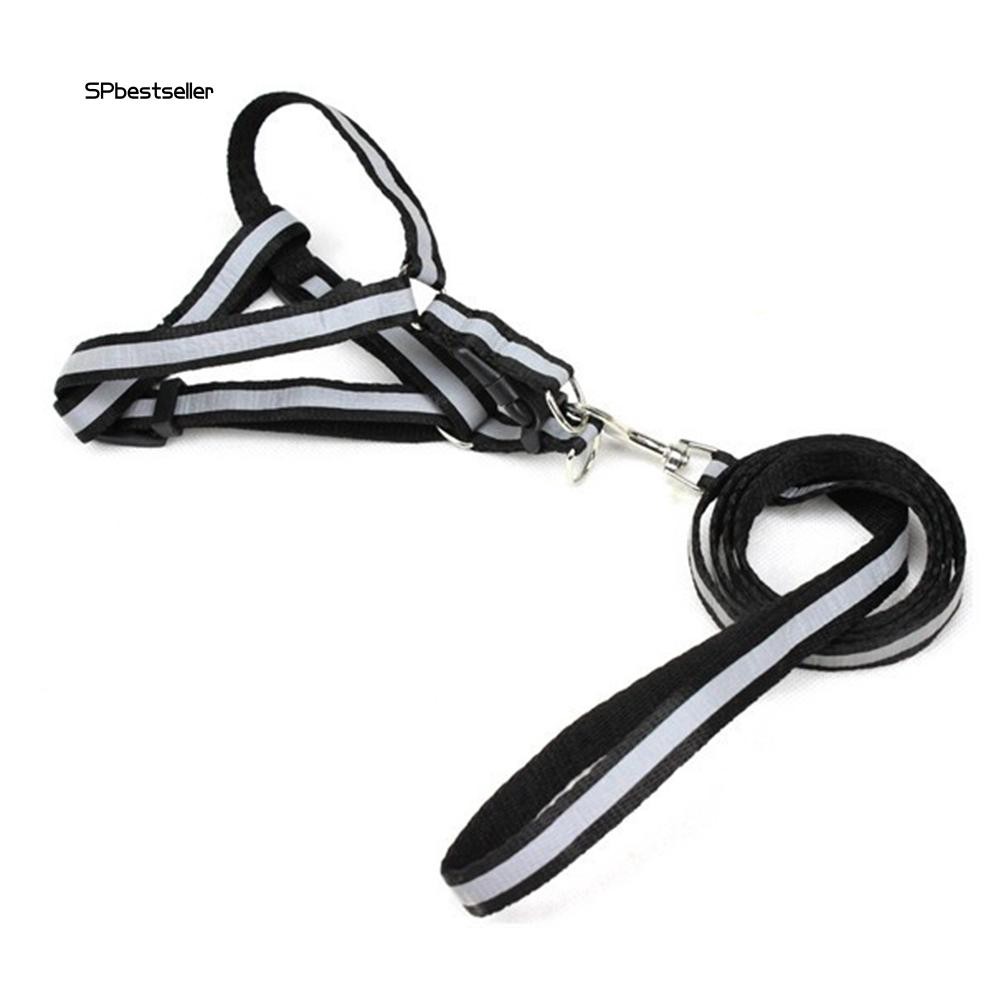 Dây đeo dắt thú cưng đi dạo thoải mái