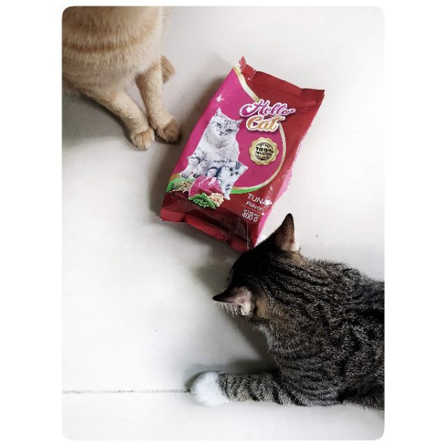 Thức ăn cho mèo Hello Cat - Tuna Flavor 400g - Thức ăn hạt cho mèo