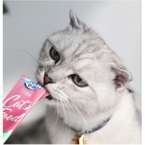 [SIÊU RẺ] Súp thưởng cho mèo hiệu Seek Cat's Food 12g