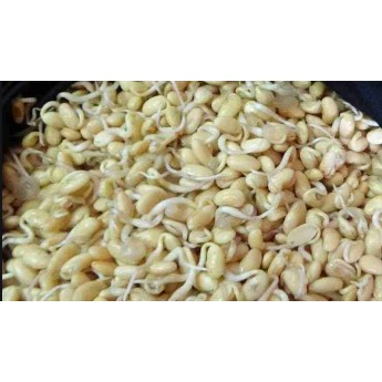 Bột mầm đậu nành nguyên chất 500g