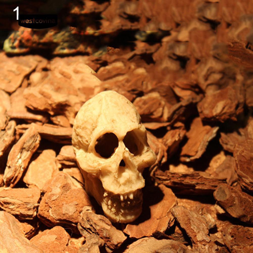 Đầu lâu trang trí hồ cá