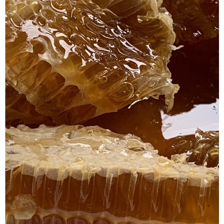 1.4kg mật ong hoa rừng cà phê nguyên chất loại đặc biệt_ Thương hiệu nông dân Bá Lộc