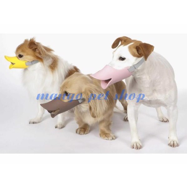 Rọ Mõm Mỏ Vịt