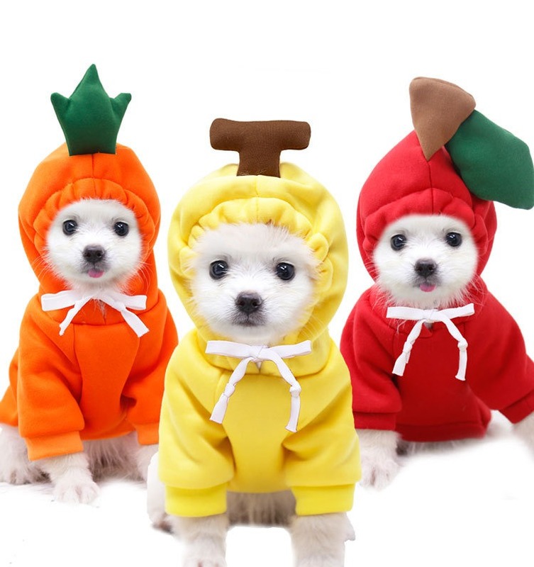 Áo hoodie bằng vải lông cừu hình trái cây dễ thương cho thú cưng