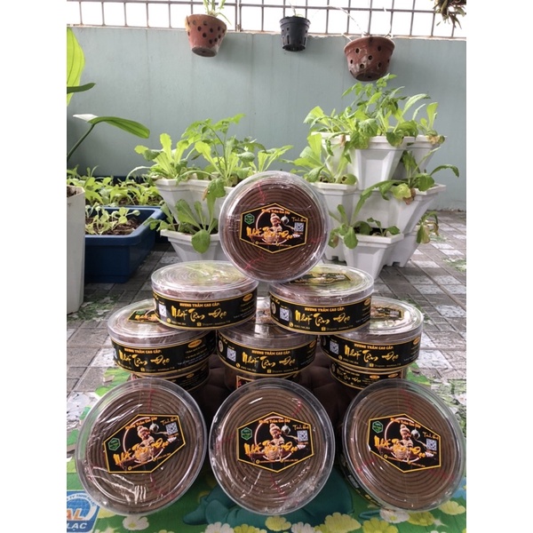 Hương vòng trầm hương đốt 24h/ vòng