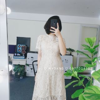 Váy ren dài tay ngắn