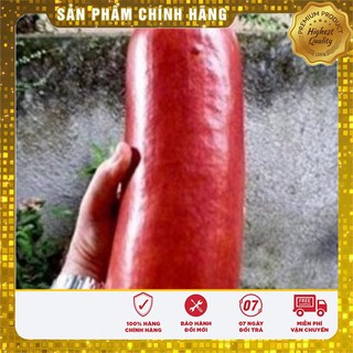 Hạt giống dưa chuột vỏ đỏ khổng lồ LUCKY SEEDS
