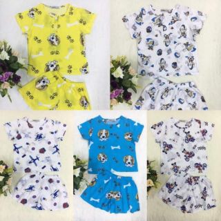 Combo 3 bộ cotton 4c