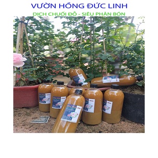 DỊCH CHUỐI ĐẬM ĐẶC - PHÂN BÓN HOA HỒNG - VƯỜN HỒNG ĐỨC LINH
